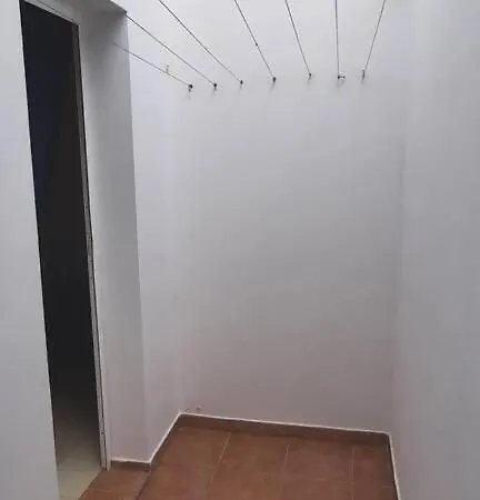 Wifi Surf Fast Wi-fi