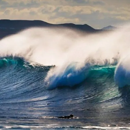 Wifi Surf Fast Wi-fi